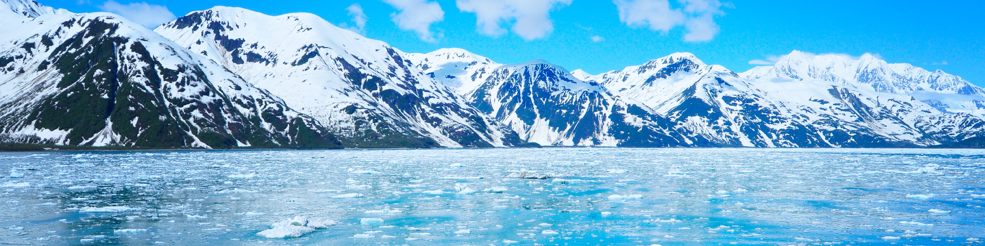 Looking Beneath the Iceberg of Hotel Guest Management