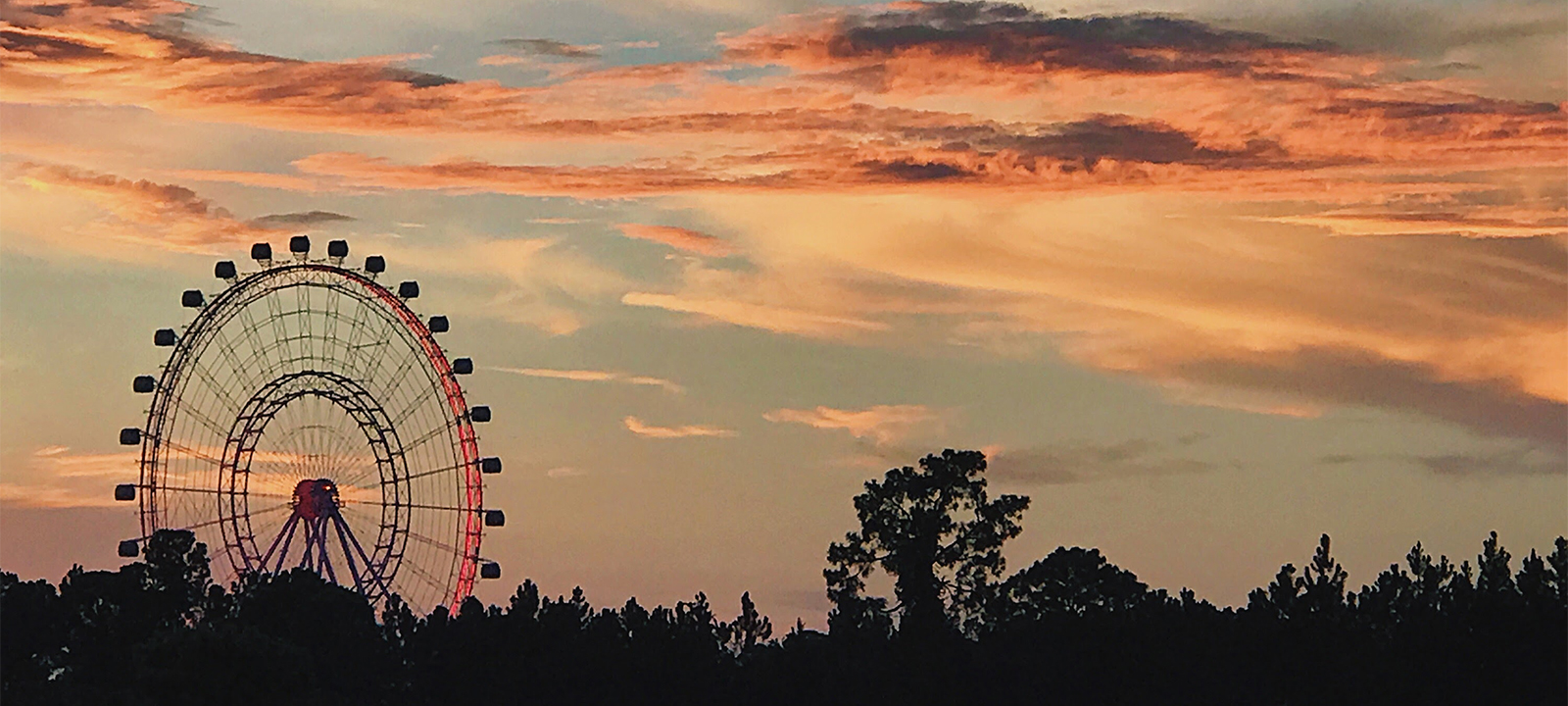 What Coachella reveals about travel demand